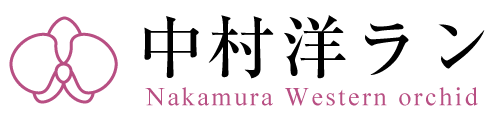 胡蝶蘭の生産・販売 中村洋ラン | 愛知県田原市